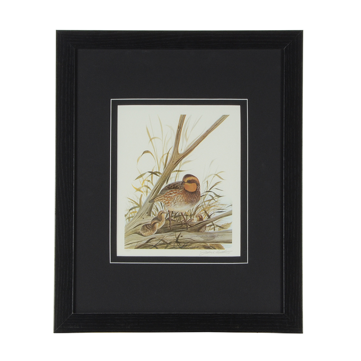 John Ruthven Signed 1983 Limited Edition Offset Lithograph "Bobwhite Quail with Young"