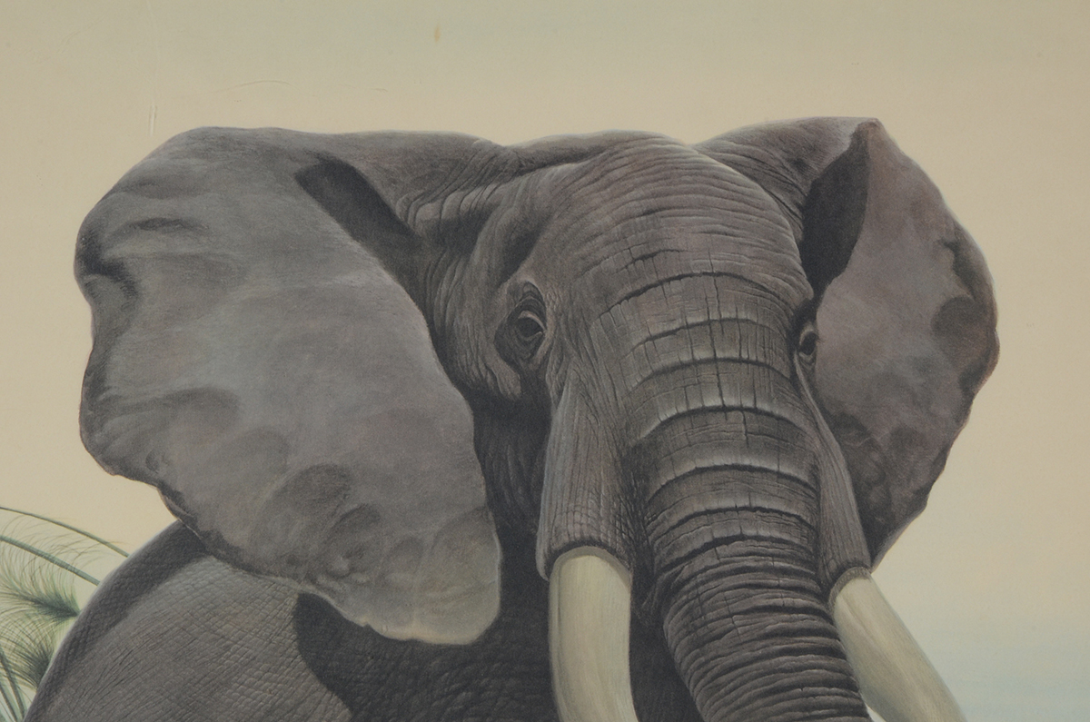 John Ruthven Signed Limited Edition Offset Lithograph "African Elephants"