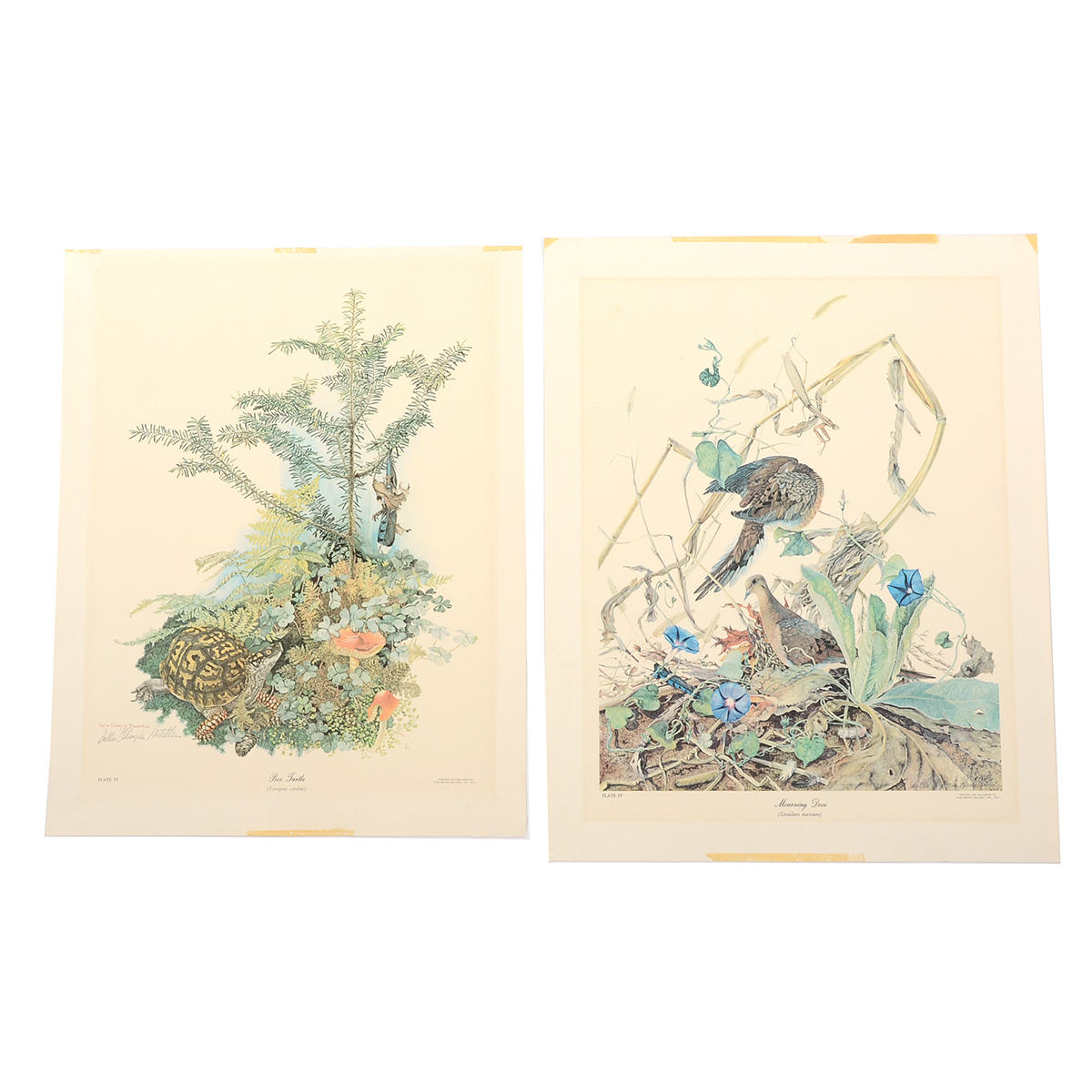 Pair of Sallie Ellington Middleton Signed Offset Lithographs