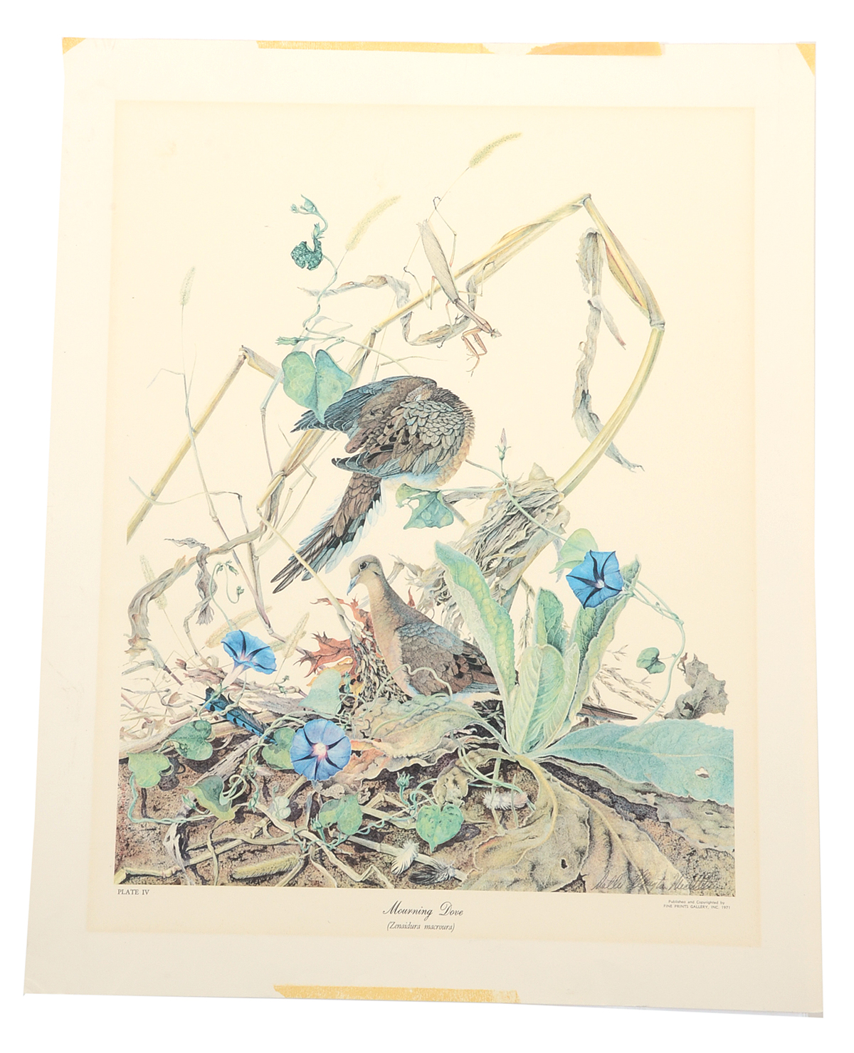 Pair of Sallie Ellington Middleton Signed Offset Lithographs