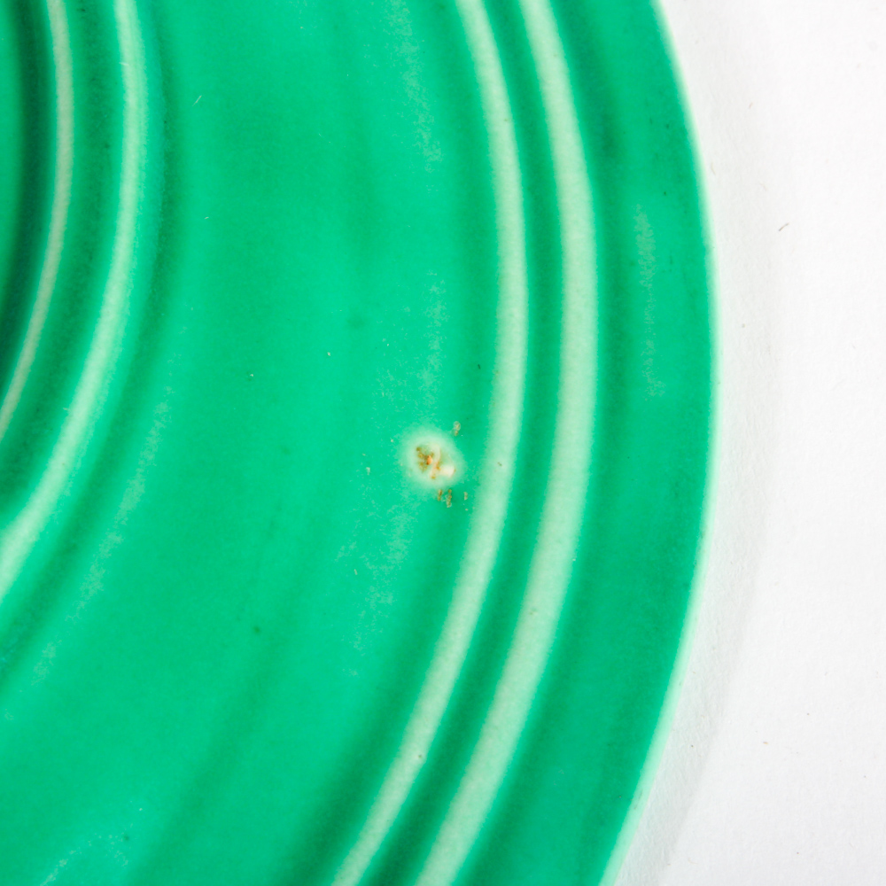 Fiesta Dinnerware Grill Plates