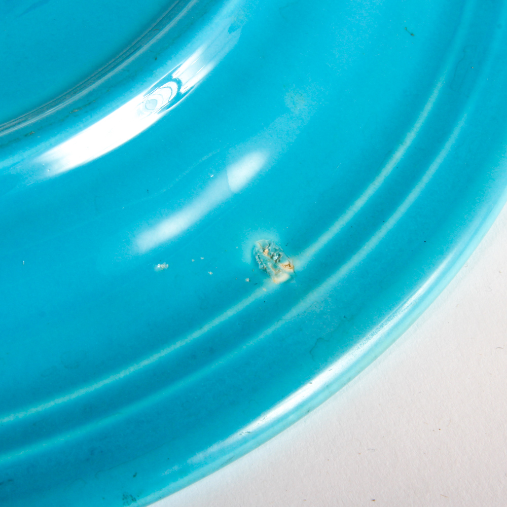 Fiesta Dinnerware Grill Plates