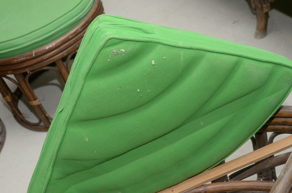 Vintage Rattan Furniture Set