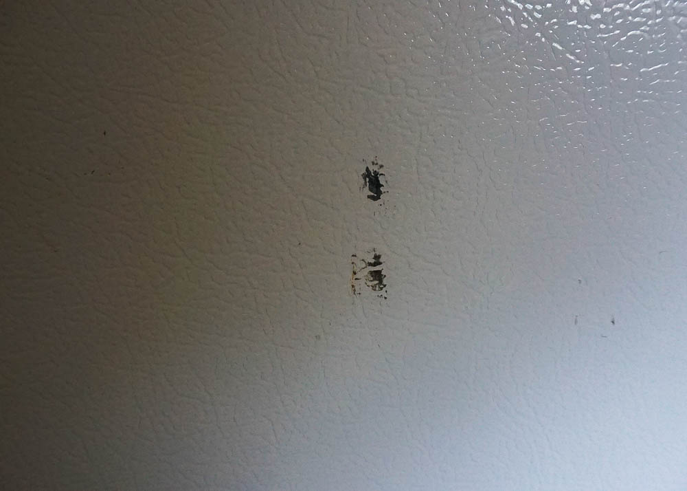 Kenmore Upright Freezer