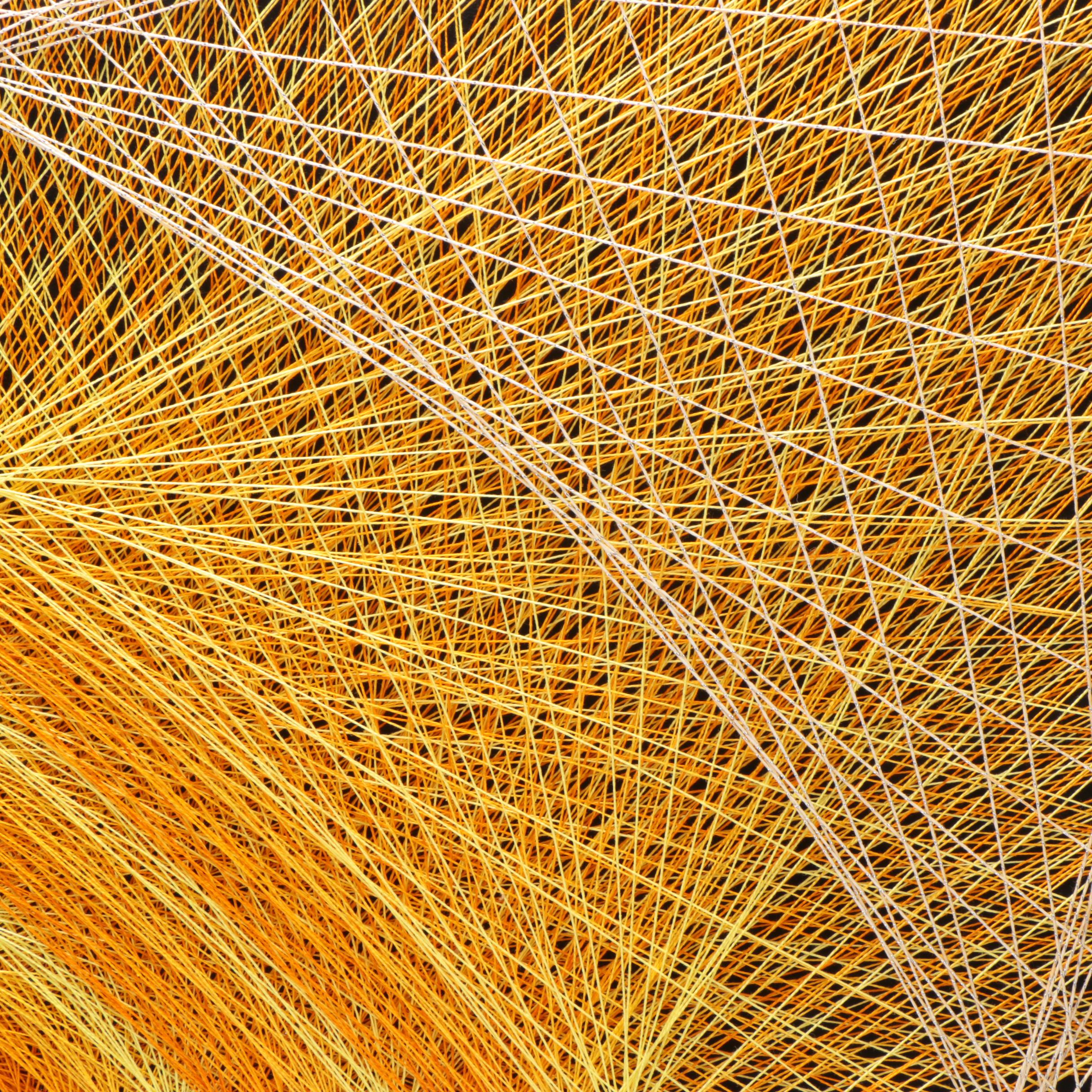 Abstract String Artworks On Board