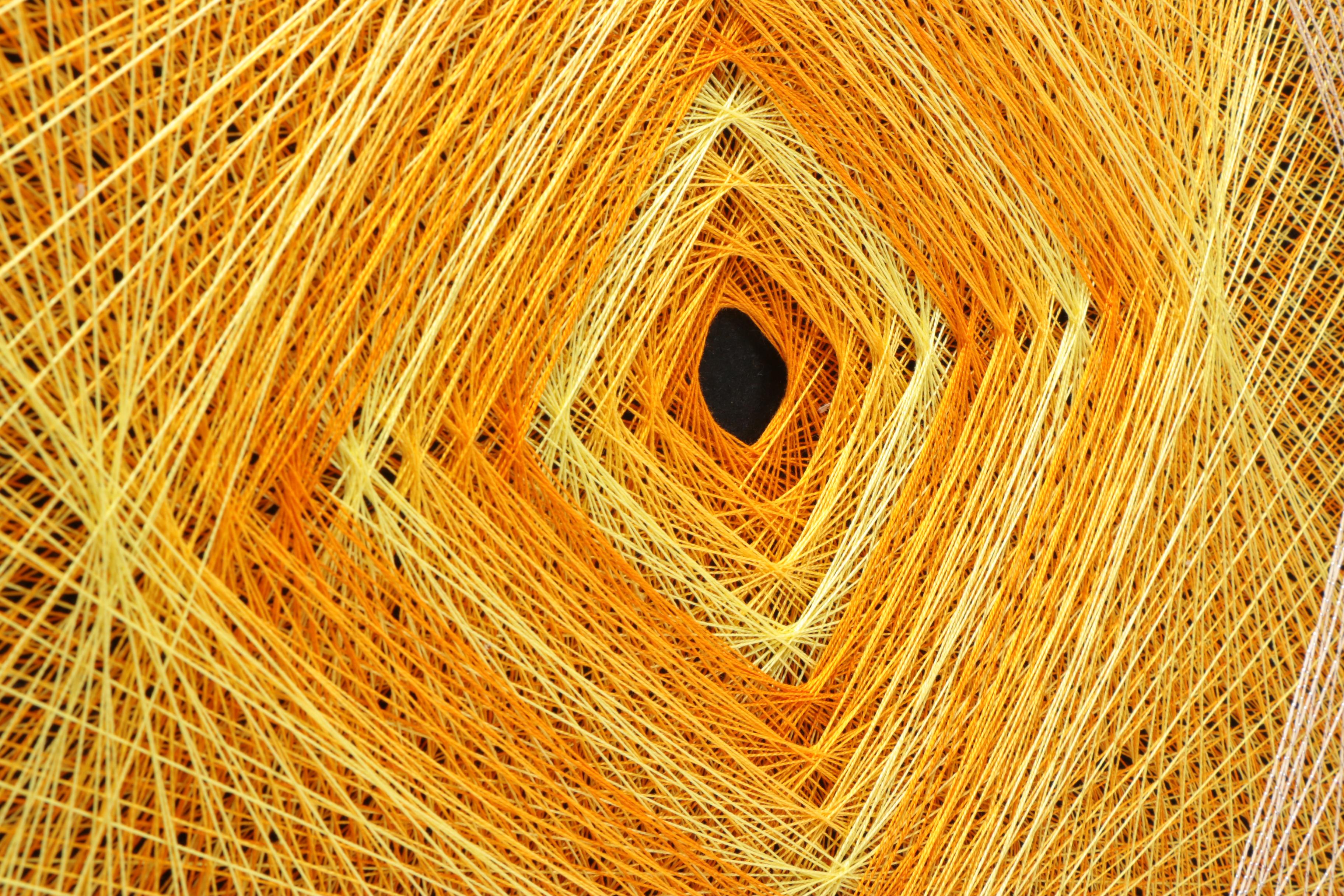 Abstract String Artworks On Board