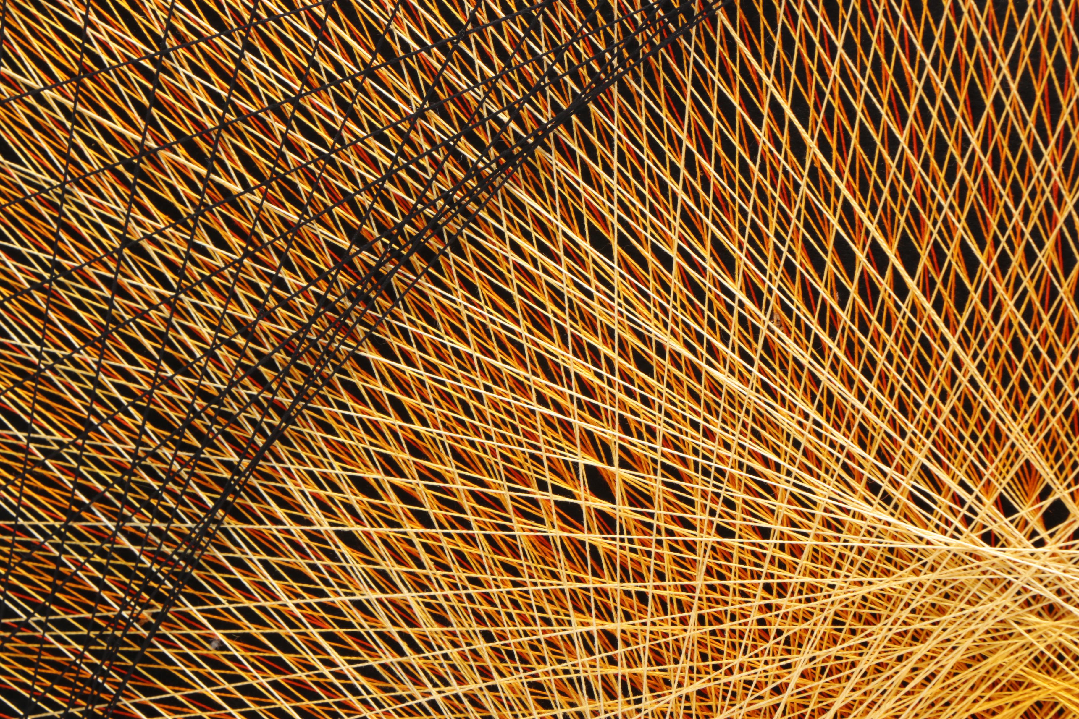 Abstract String Artworks On Board