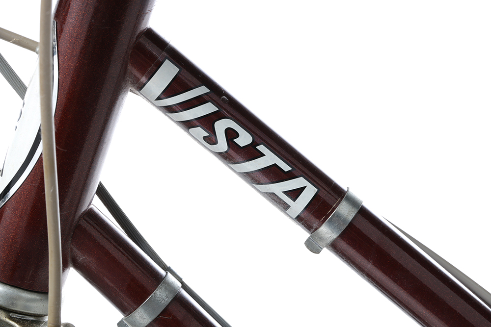 Brown Vista Bicycle