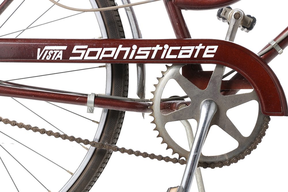 Brown Vista Bicycle