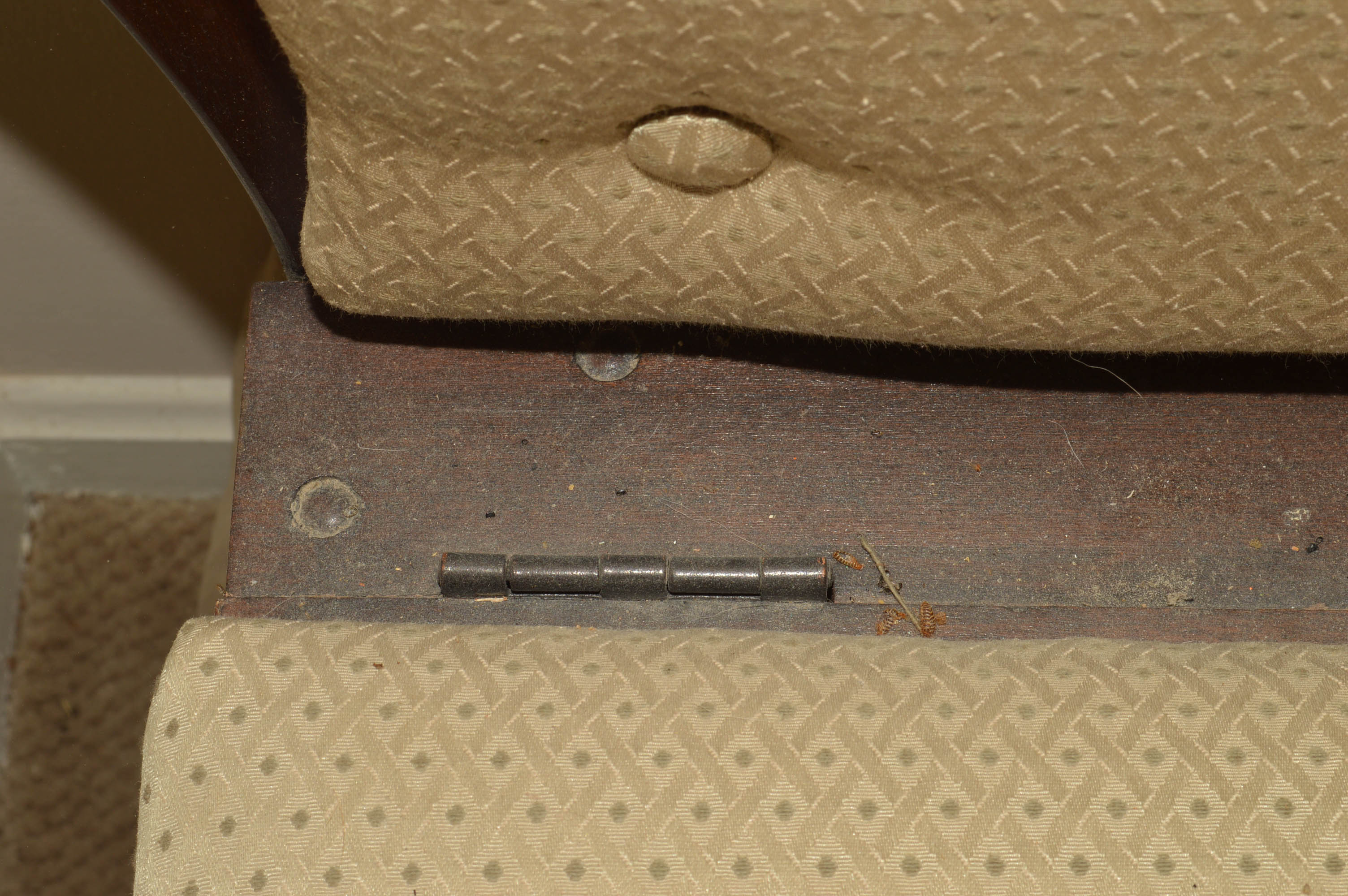 Vintage Cedar Chest With Upholstered Bench Seat and Back by Lane