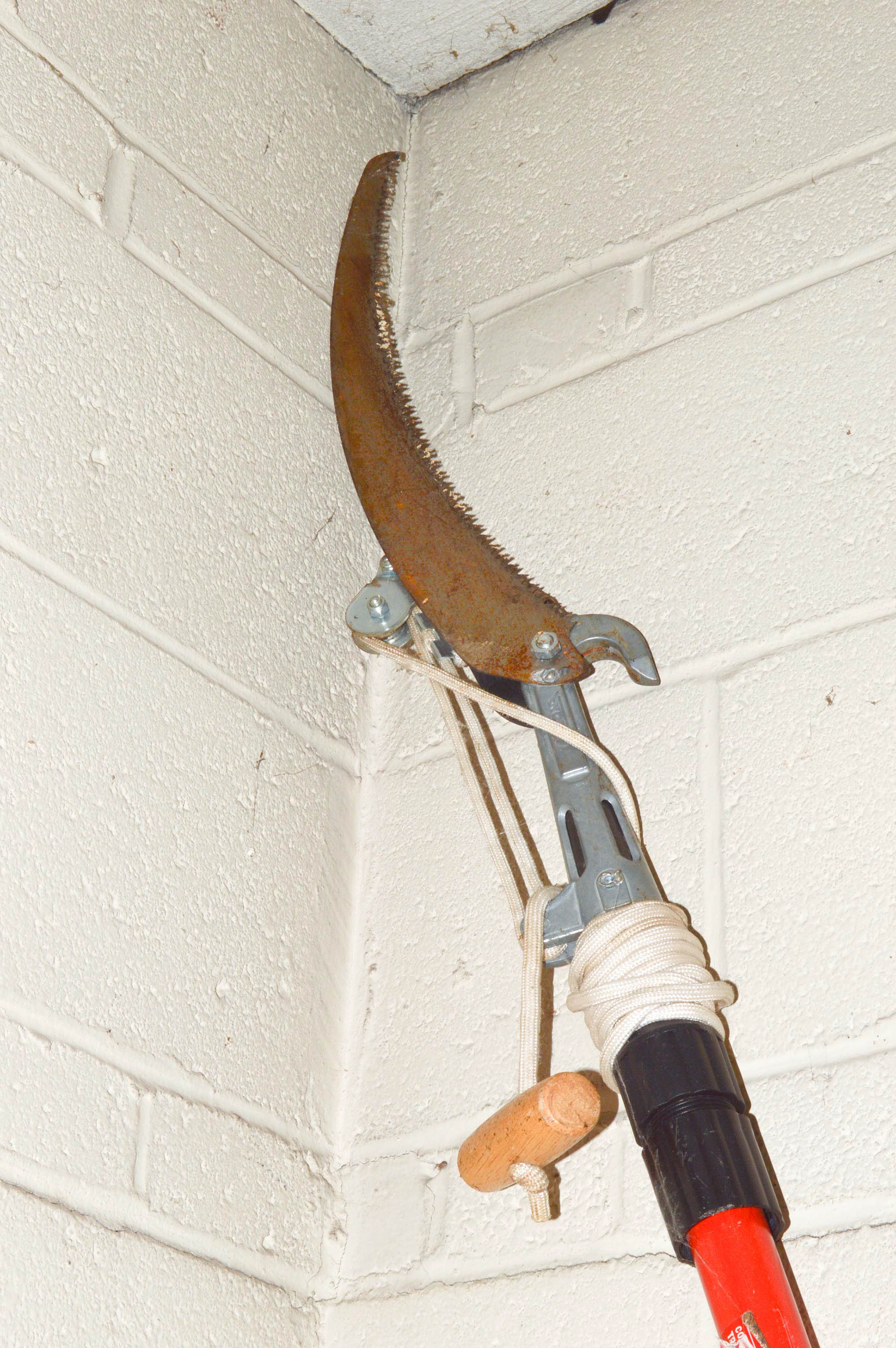 Assortment of Landscaping and Home Maintenance Essentials