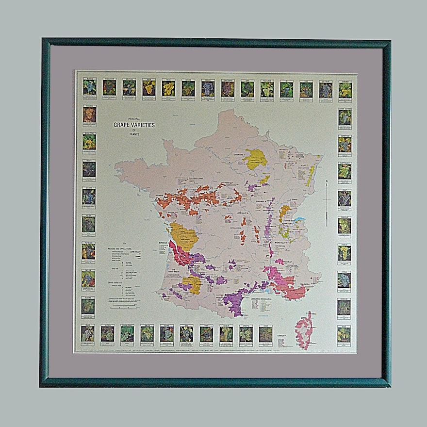 Framed French Grape Varieties Map