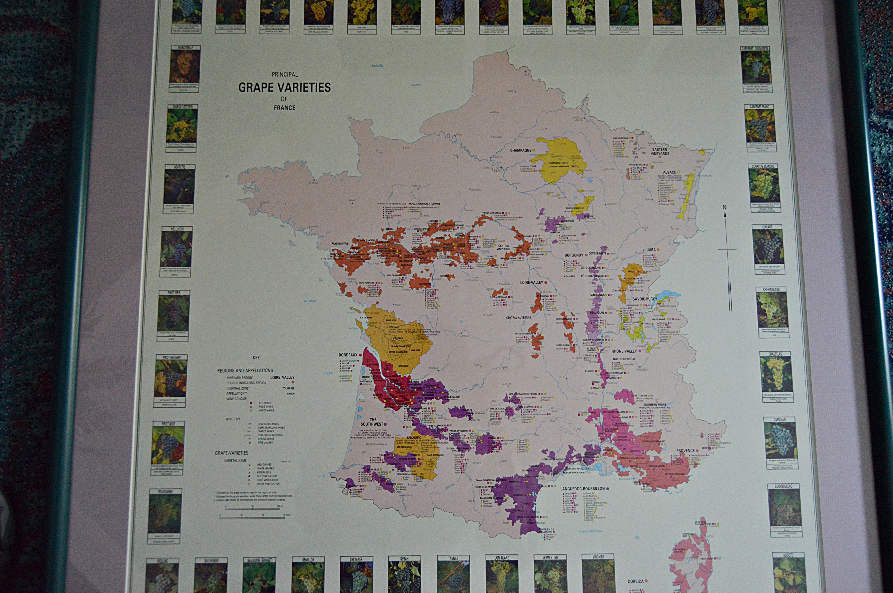 Framed French Grape Varieties Map