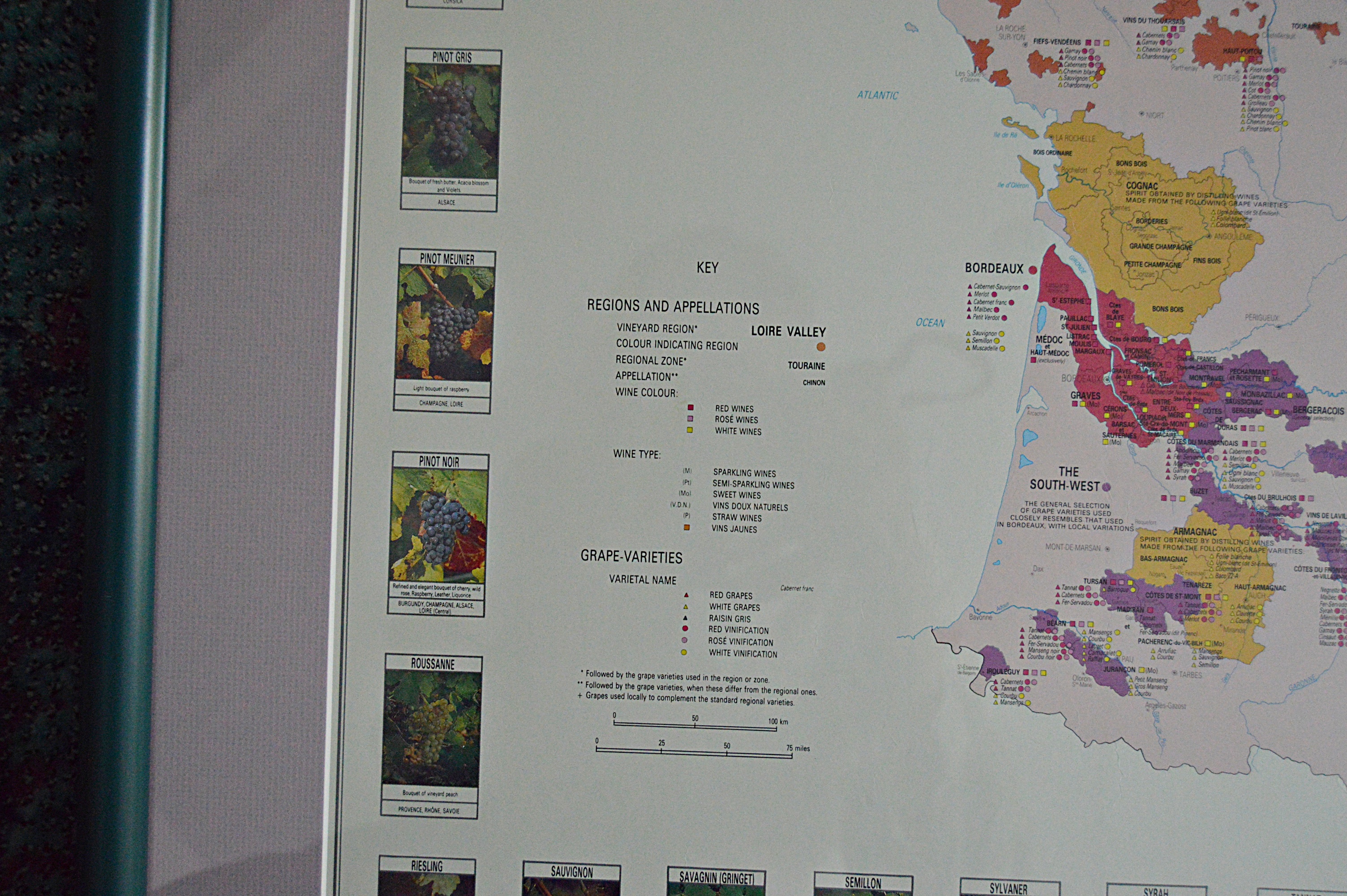 Framed French Grape Varieties Map