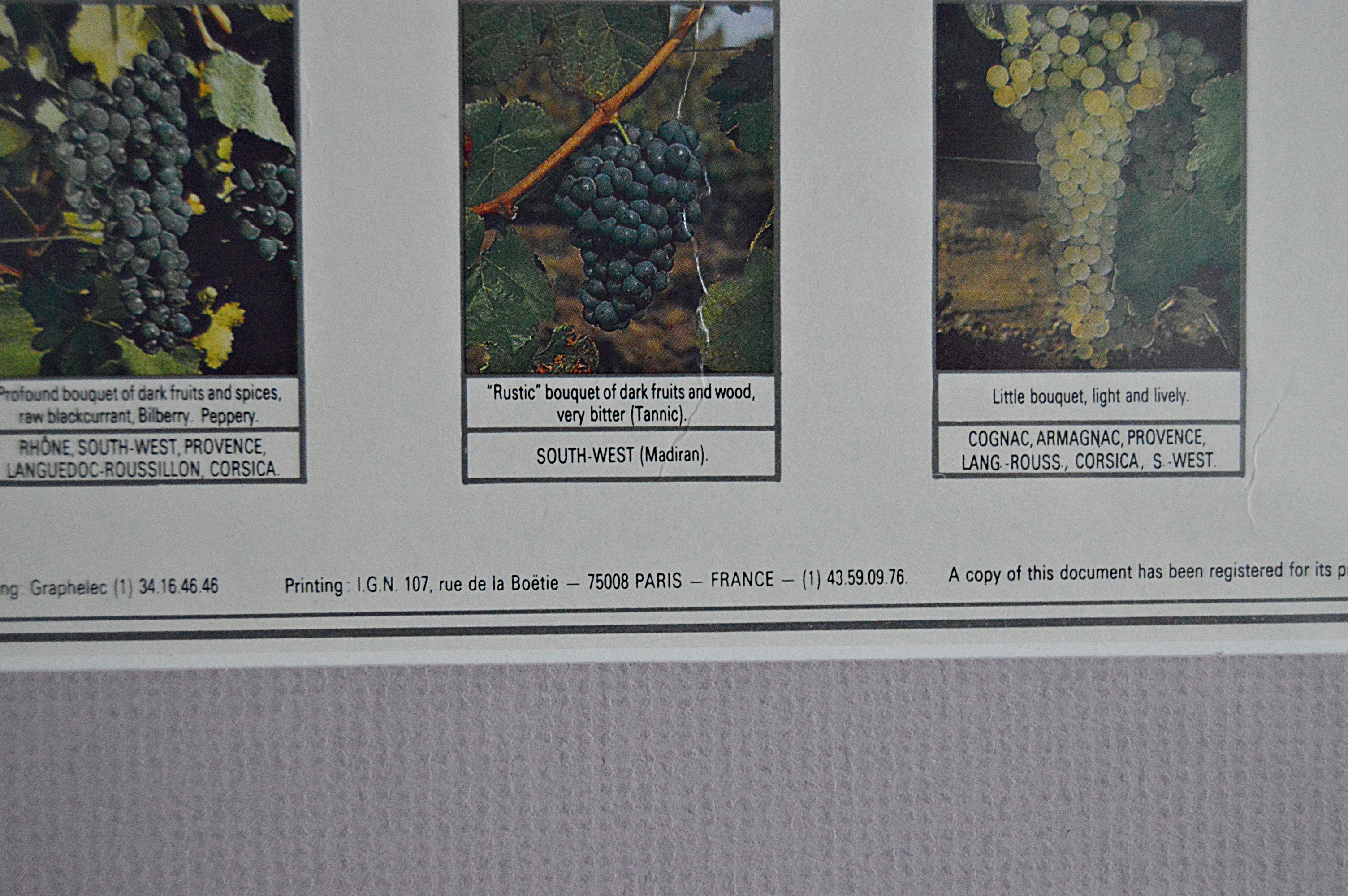 Framed French Grape Varieties Map