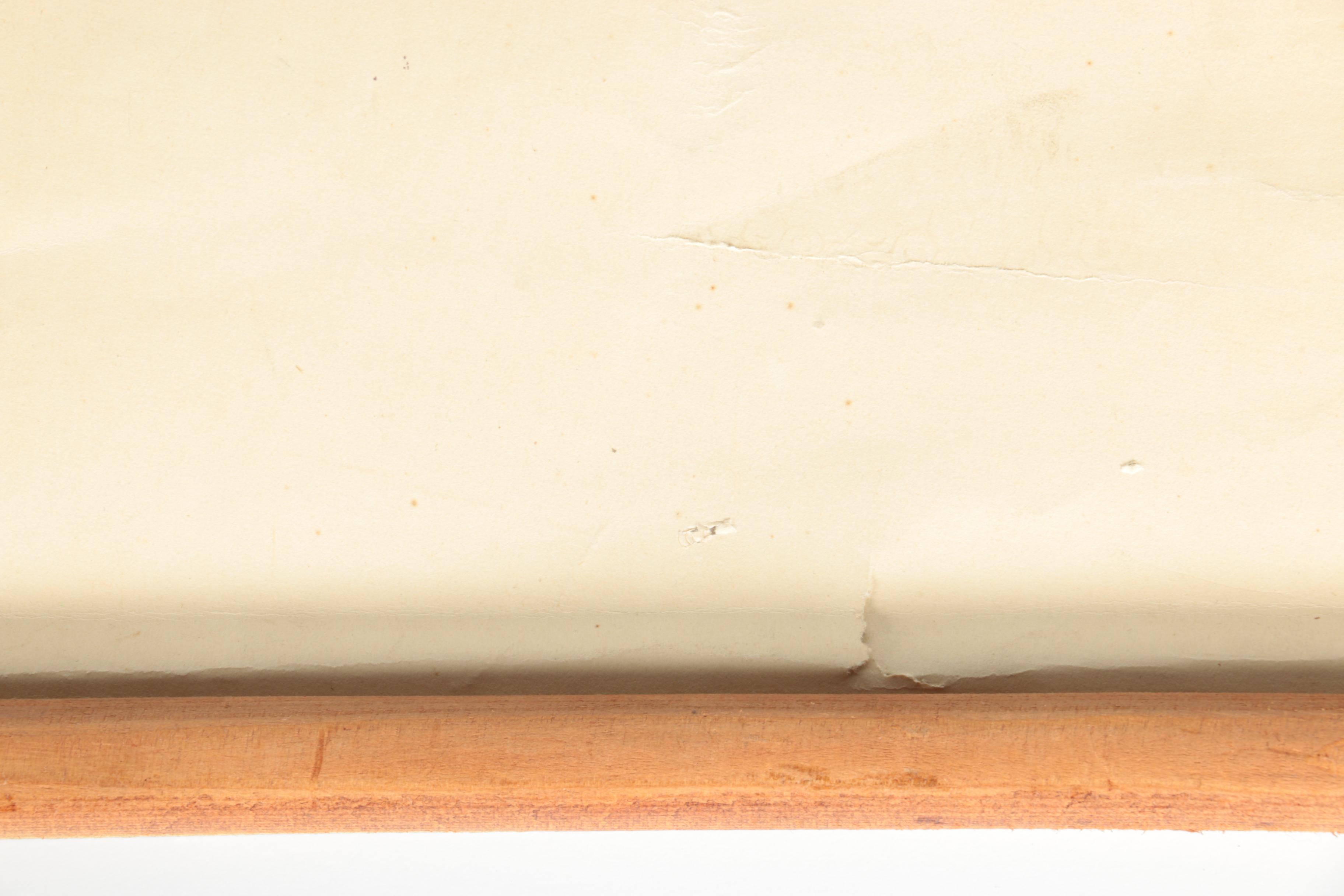 Educational Plant Posters