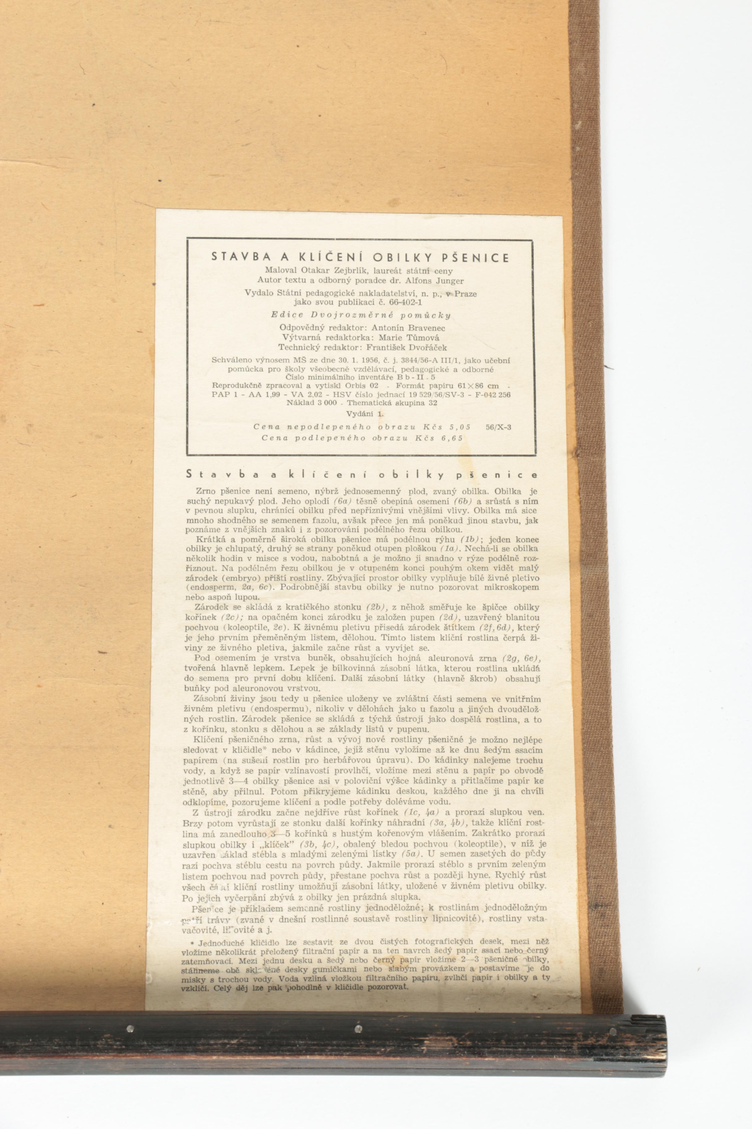 Educational Plant Posters