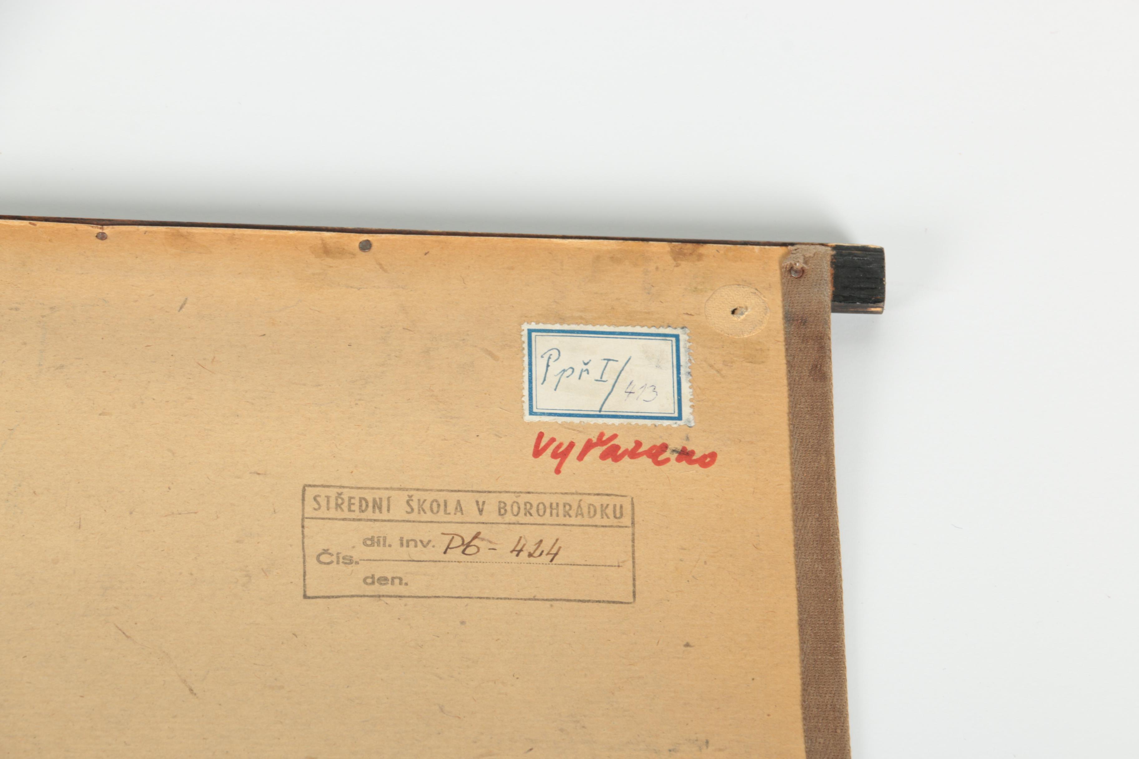 Educational Plant Posters