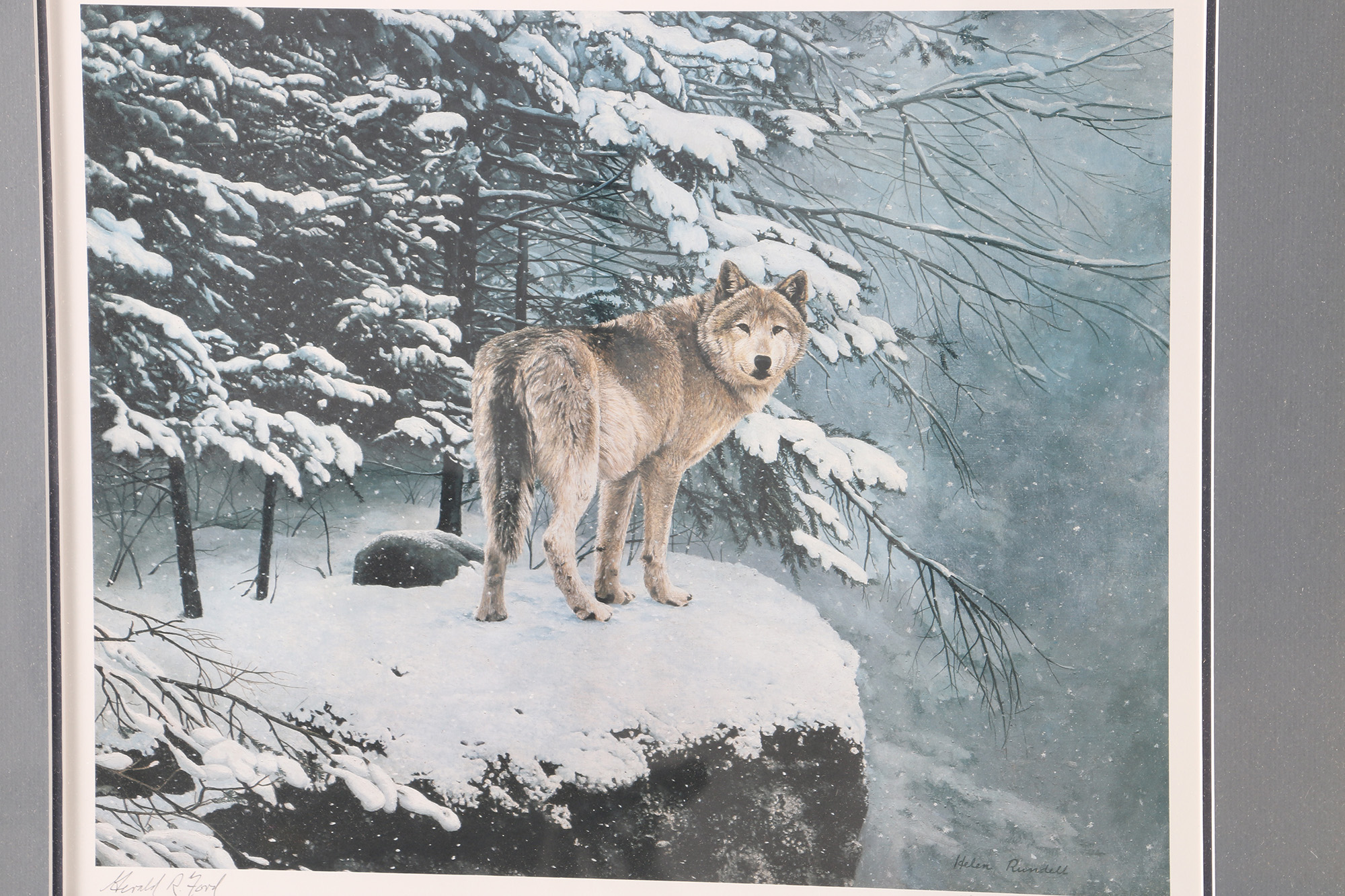 Helen Rundell Limited Edition Offset Lithograph on Paper "On the Edge Eastern Timberwolf" Signed by Gerald Ford
