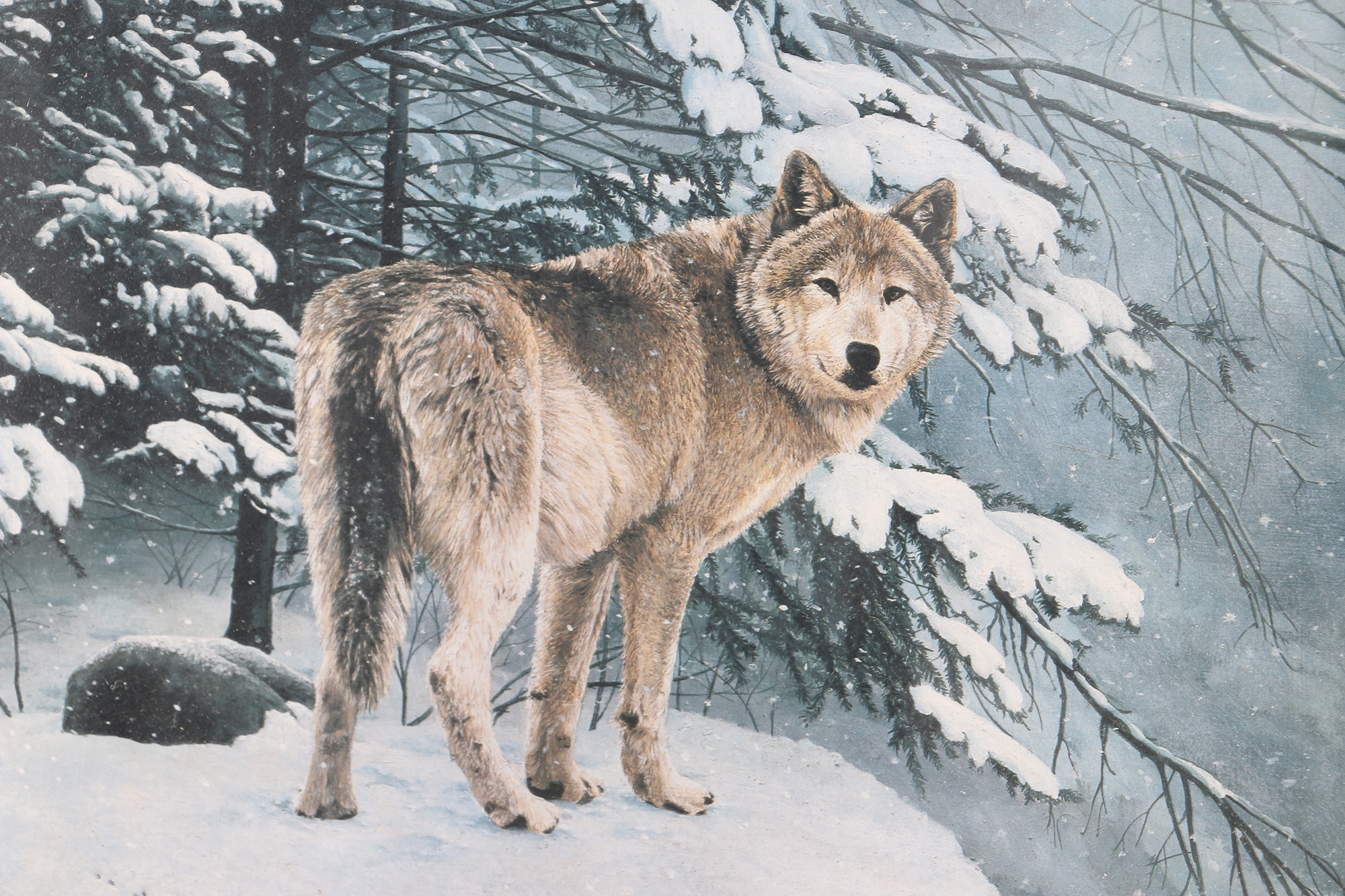 Helen Rundell Limited Edition Offset Lithograph on Paper "On the Edge Eastern Timberwolf" Signed by Gerald Ford