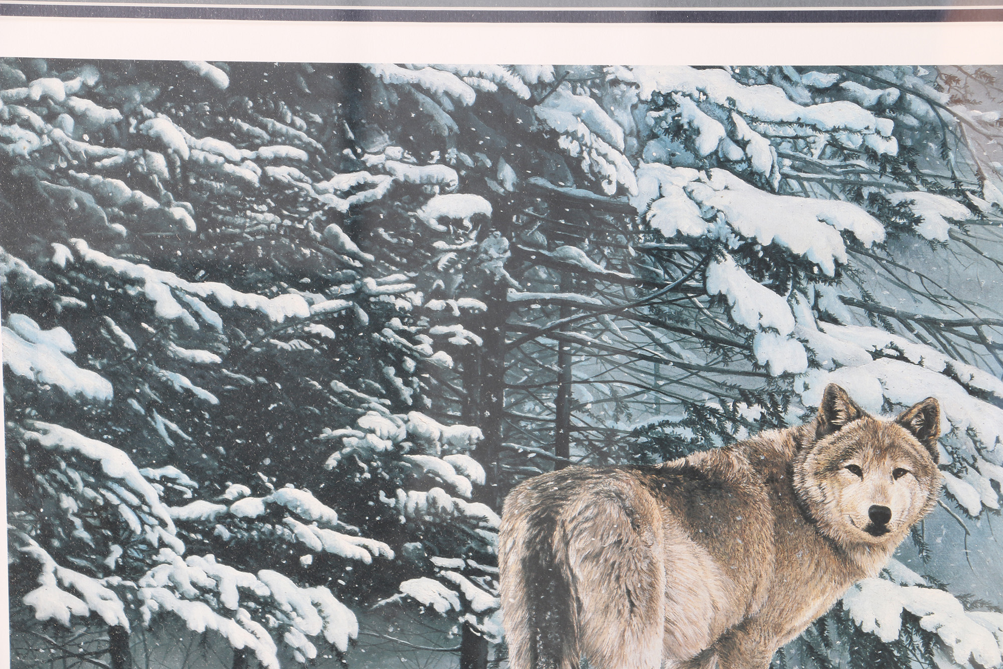 Helen Rundell Limited Edition Offset Lithograph on Paper "On the Edge Eastern Timberwolf" Signed by Gerald Ford