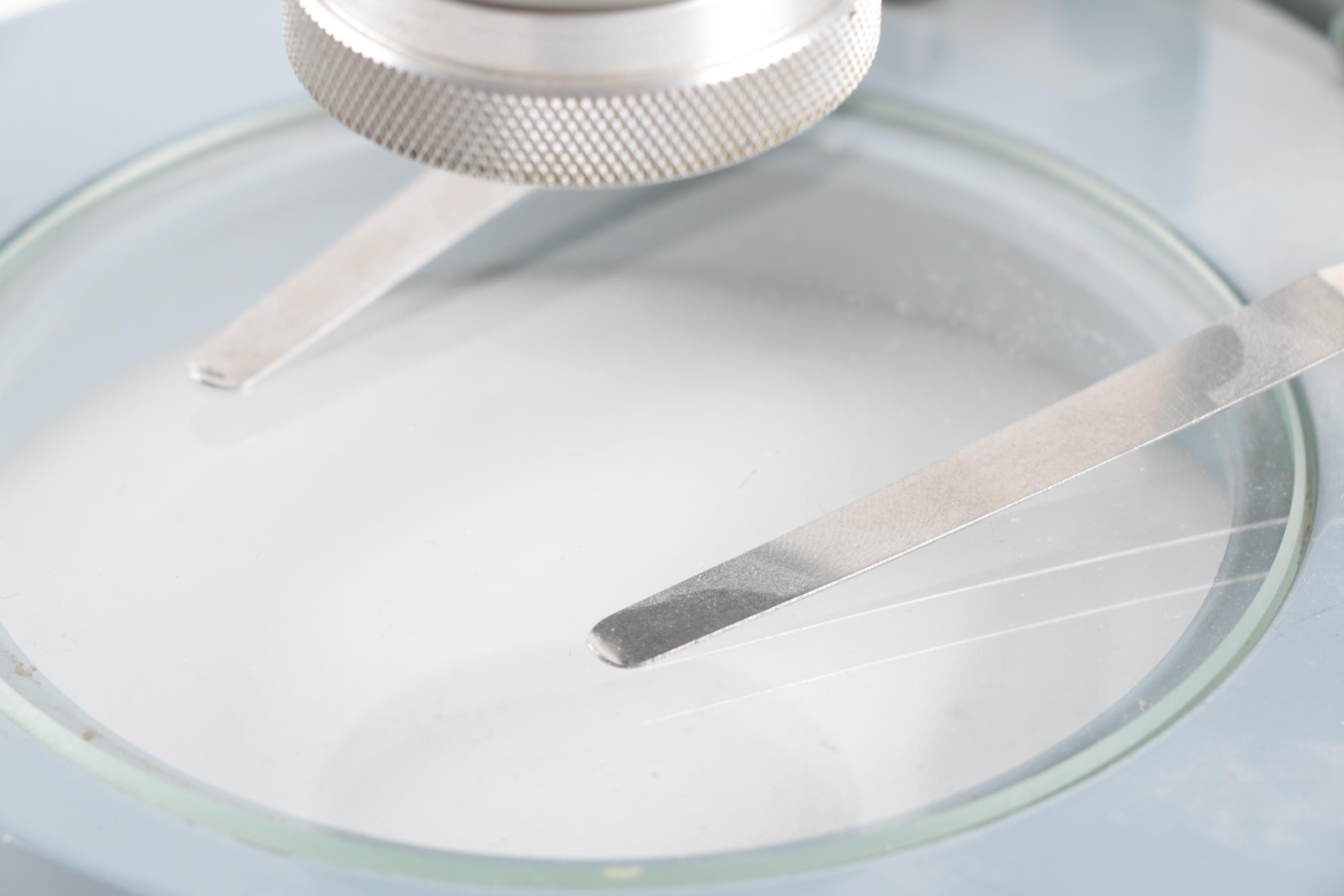 American Optical Spencer Binocular Microscope