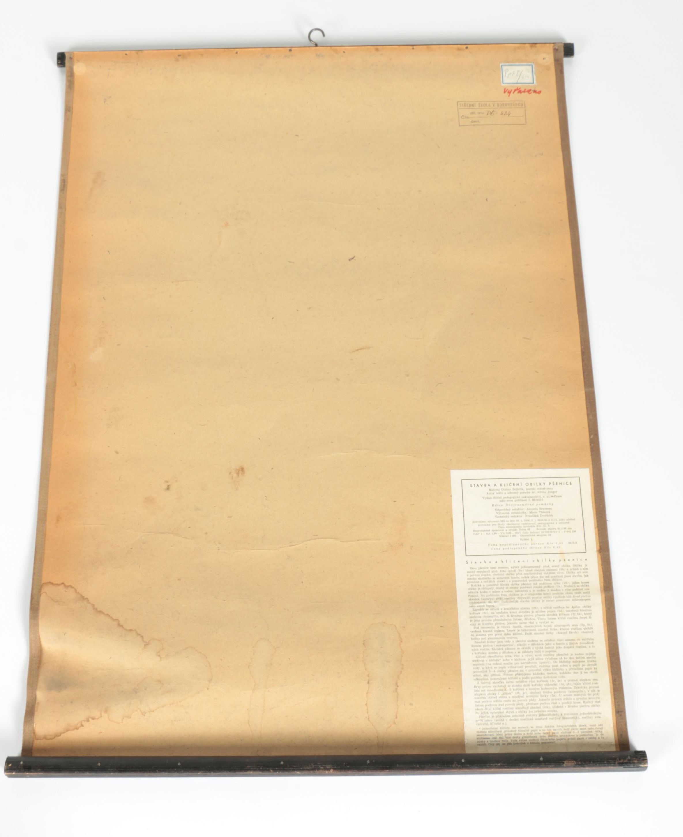 Educational Plant Posters