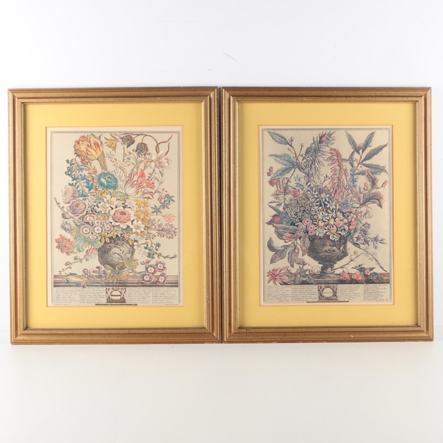 After Pieter Casteels Offset Lithographs on Paper From "Twelve Months of Flowers"