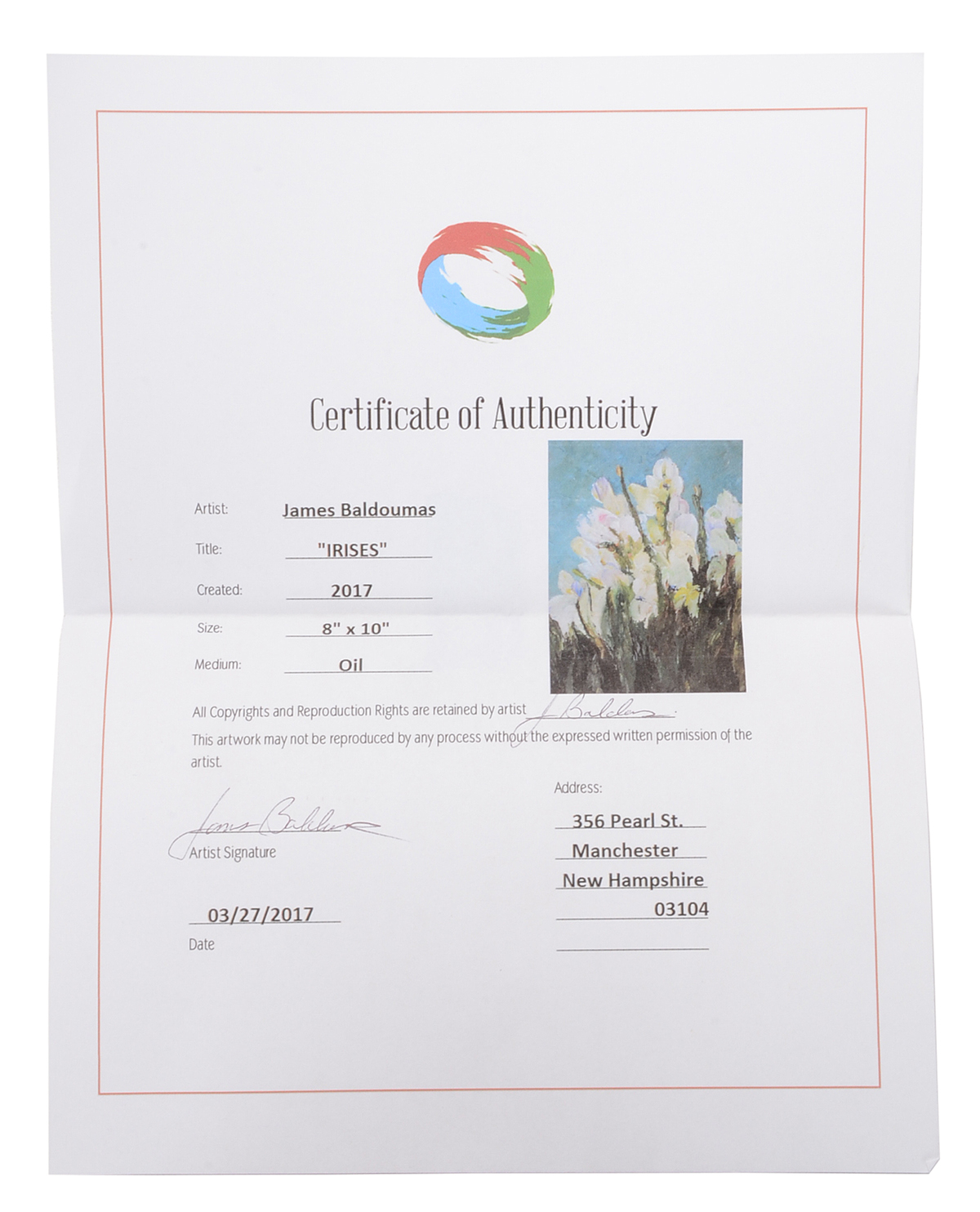 James Baldoumas Original Oil on Canvas Board "Irises"