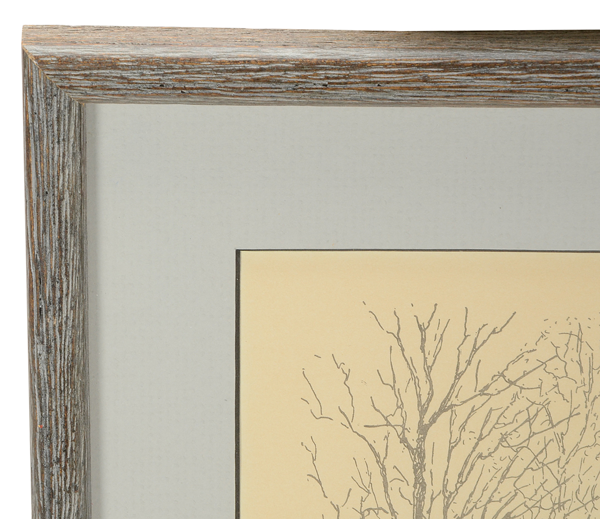 Lithograph After Caroline Williams Illustration