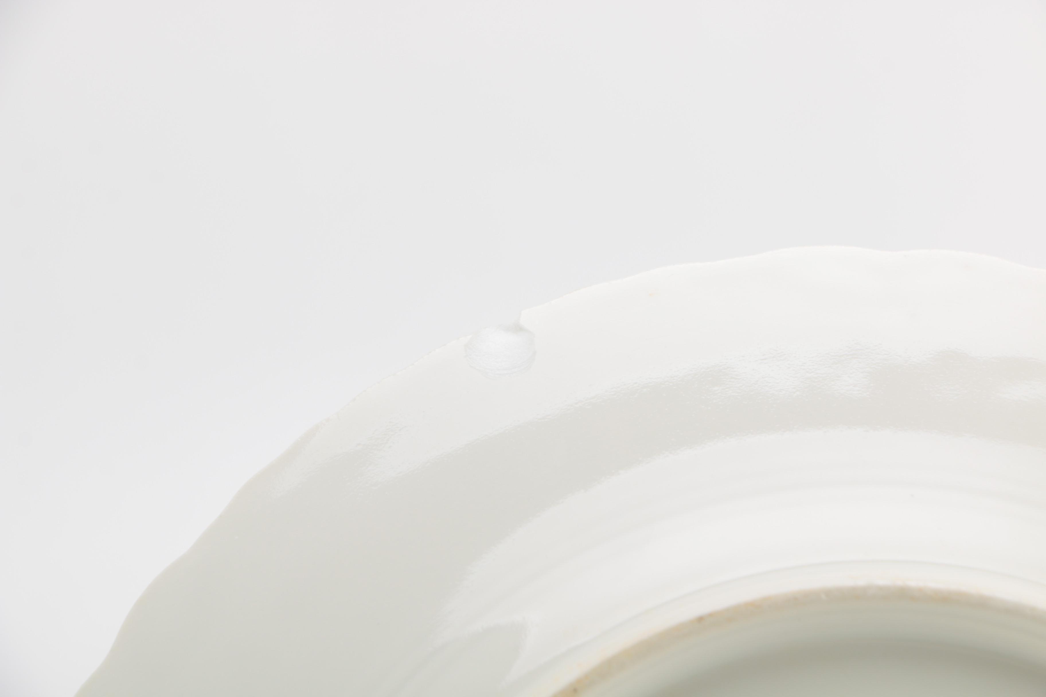 Théodore Haviland Limoges Floral Tea Dishes