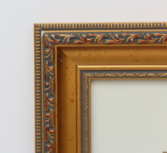 Vintage Entomology Lithograph