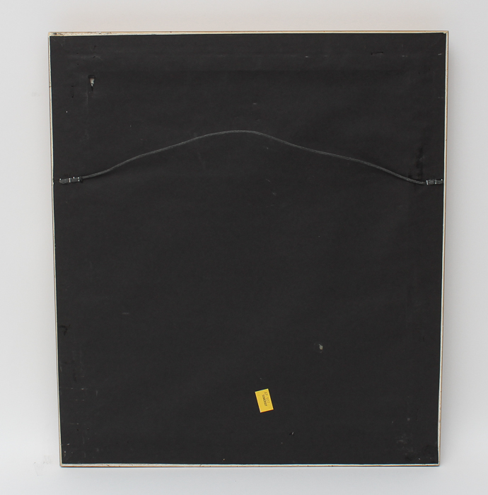 Vintage Entomology Lithograph