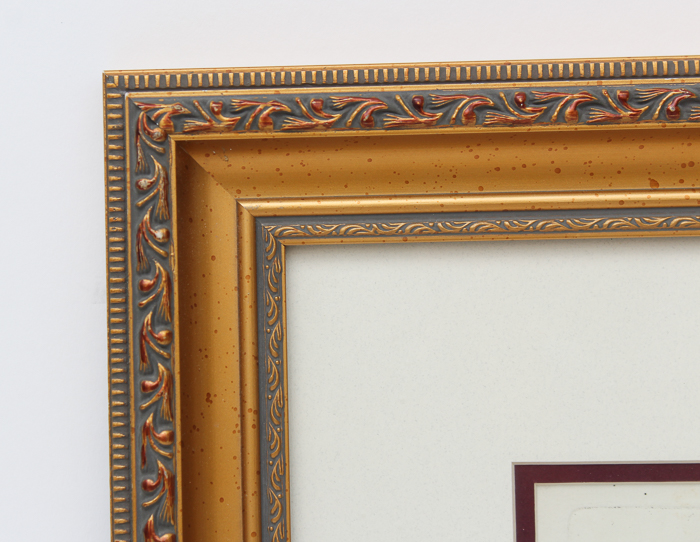 Vintage Entomology Lithograph of Butterflies