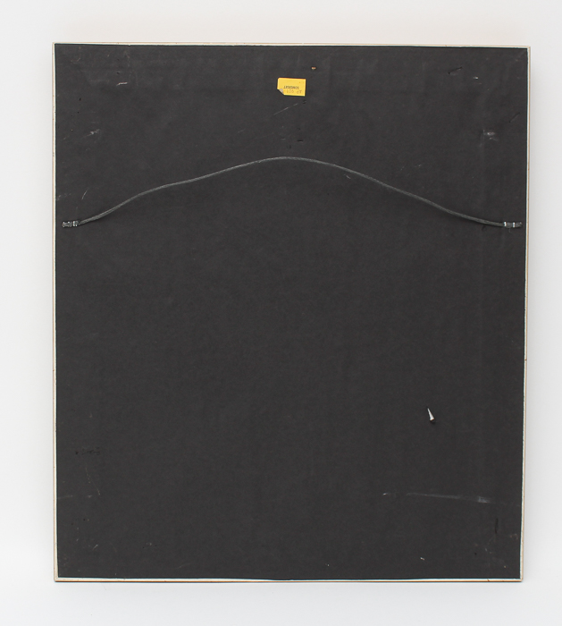 Vintage Entomology Lithograph of Butterflies