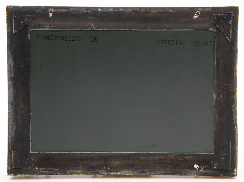 Ornately Framed Rectangular Wall Mirror