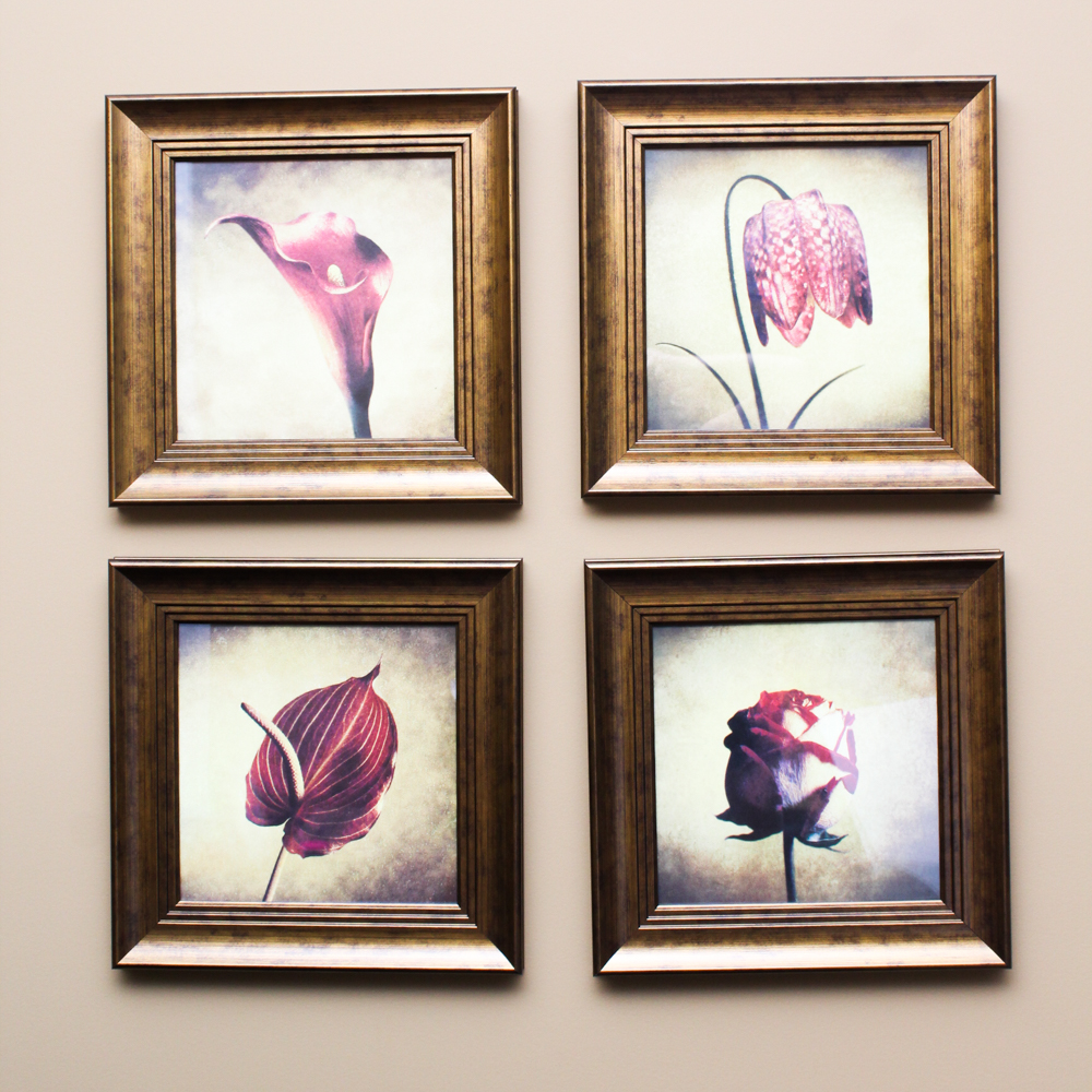 Floral Print Collection