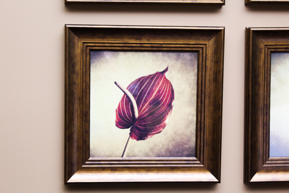 Floral Print Collection