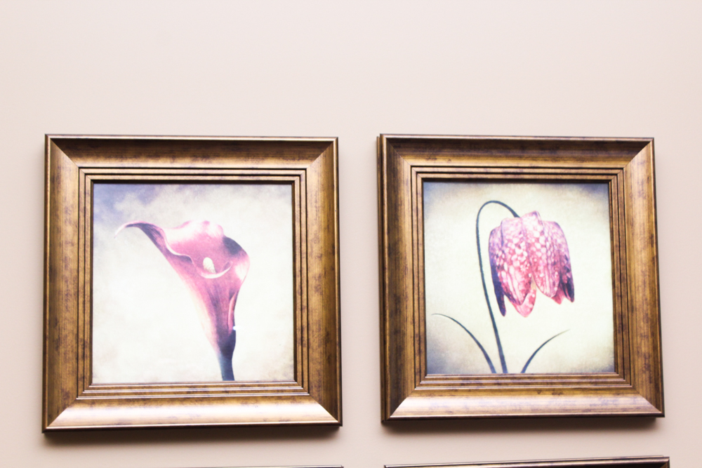 Floral Print Collection