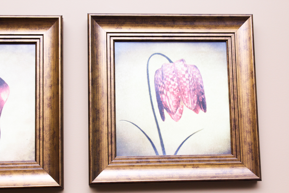 Floral Print Collection