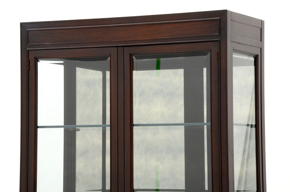 Asian Style Contemporary China Cabinet