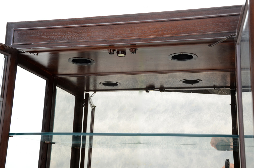 Asian Style Contemporary China Cabinet