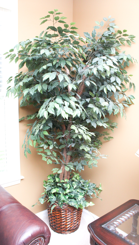 Faux Plant Collection