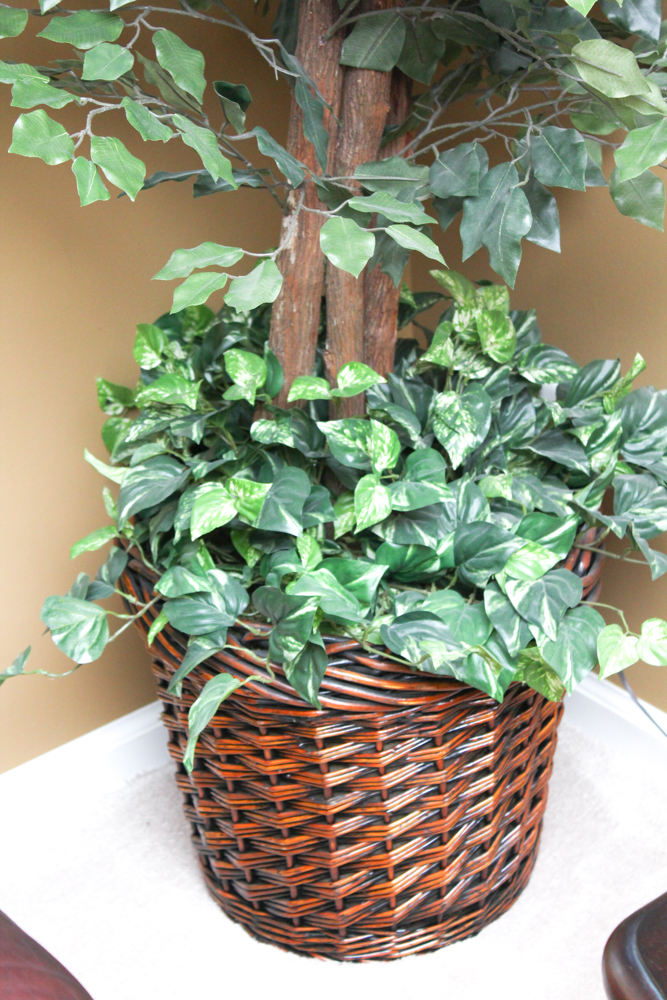 Faux Plant Collection