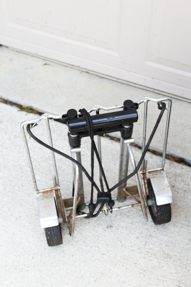 Golf Bag Filled With Mizuno Clubs