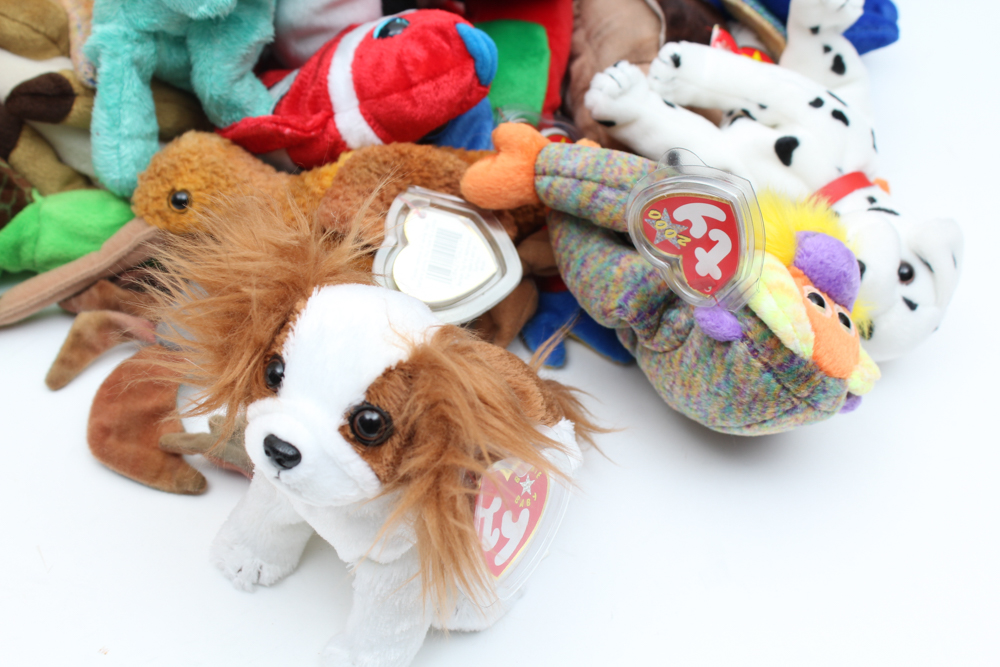 Ty Beanie Baby Collection
