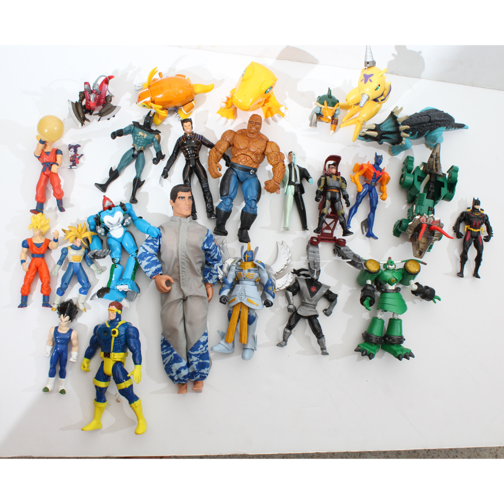 Action Figure Collection
