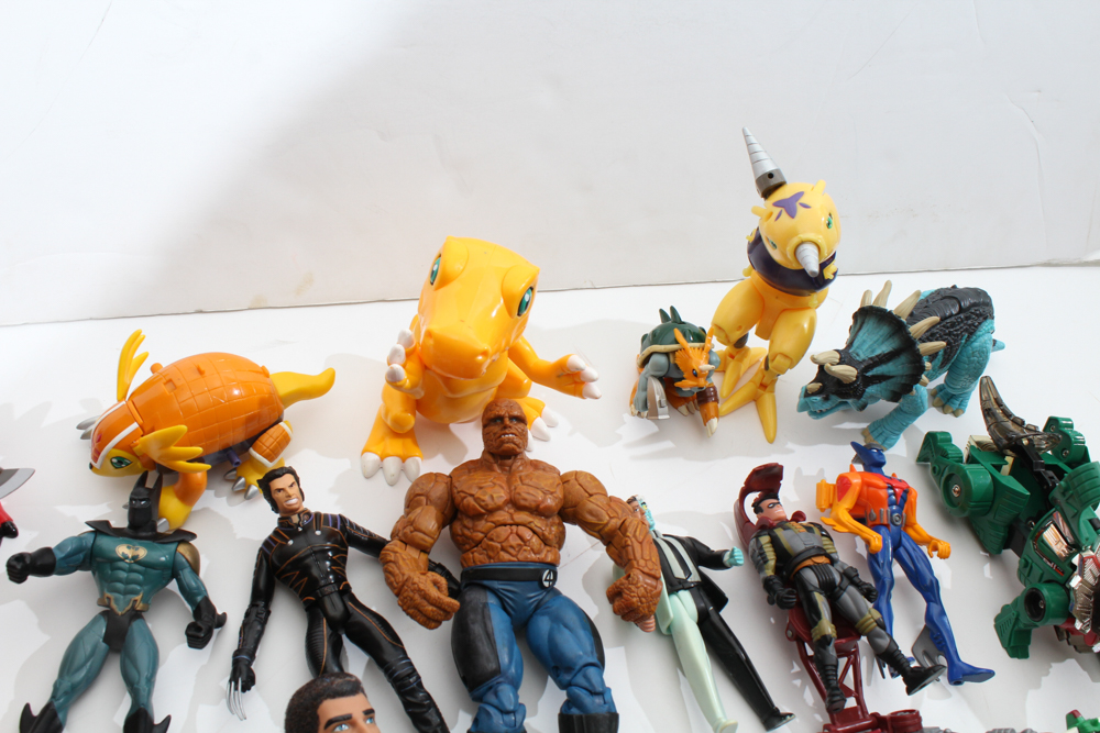 Action Figure Collection
