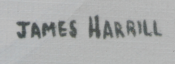 After James Harrill Offset Lithographic Print Poster