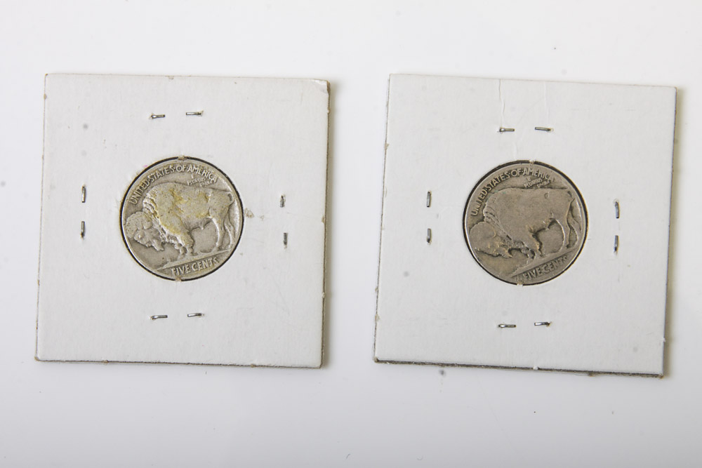 Buffalo Nickels
